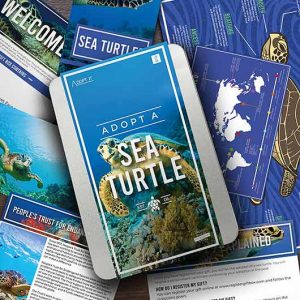 Adopt a Sea Turtle Tin Gift Kit