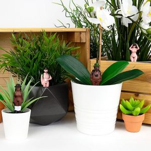 Mini Plant Pot Naked Ramblers