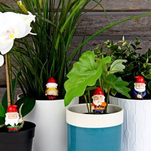 Mini Plant Pot Naughty Gnomes